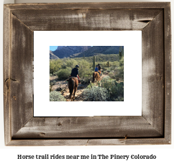 horse trail rides near me in The Pinery, Colorado